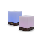Friendship Lamp Instant Tap Sync Timber & Frosted Glass