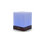 Friendship Lamp Instant Tap Sync Timber & Frosted Glass