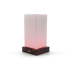 Friendship Lamp Timber & Frosted Glass Wireless Sync Multi-Color
