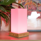 Friendship Lamp Timber & Frosted Glass Wireless Sync Multi-Color