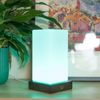 Friendship Lamp Timber & Frosted Glass Wireless Sync Multi-Color