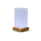 Friendship Lamp Timber & Frosted Glass Wireless Sync Multi-Color
