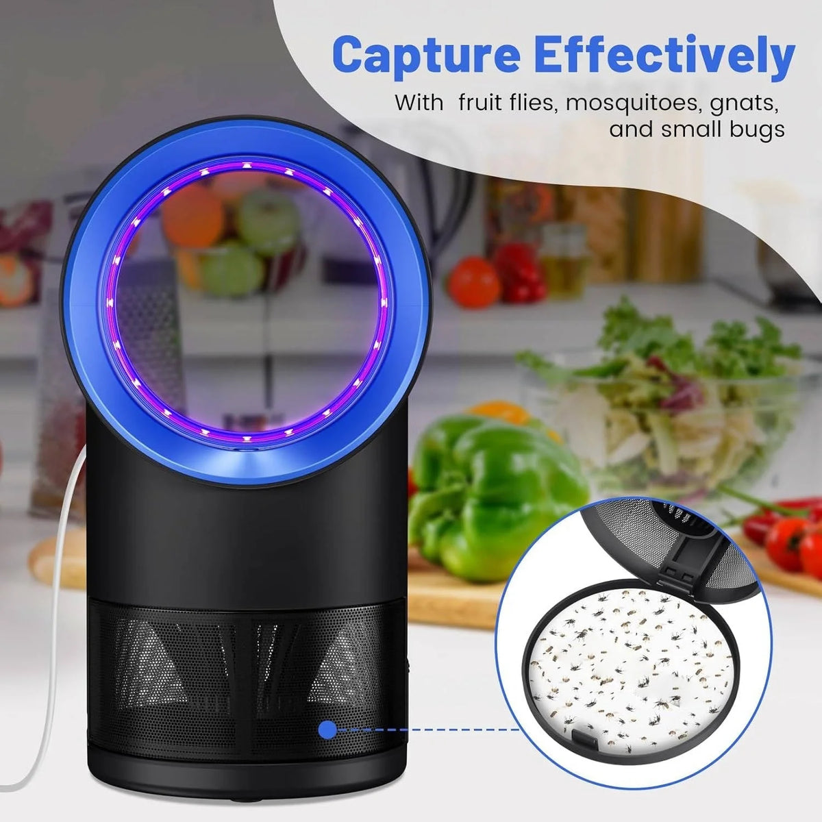 Fruit Fly Trap UV Light USB-Powered 10 Sticky Boards