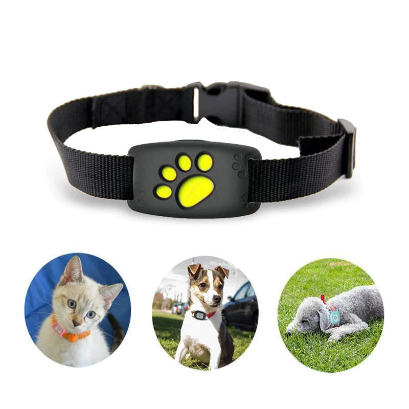 GPS Collar Real-Time Tracking IP67 Waterproof 7-Day Battery