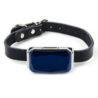 GPS Tracker Real-Time Positioning & SOS Button