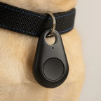 GPS Tracker Real-Time Tracking & Geofencing Alerts Long Battery Life