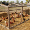 Garden Net UV-Resistant Bird & Pest Protection