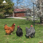 Garden Netting UV-Resistant Fine Mesh