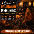 Garden Stake Light Pumpkin Moon Design Battery-Free