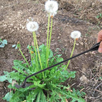 Garden Weed Remover Stainless Steel Blade & Ergonomic Handle