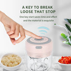 Garlic Chopper Stainless Steel Blade USB Rechargeable