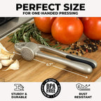 Garlic Press 37-Hole Precision Chamber Ergonomic Rust-Resistant Metal