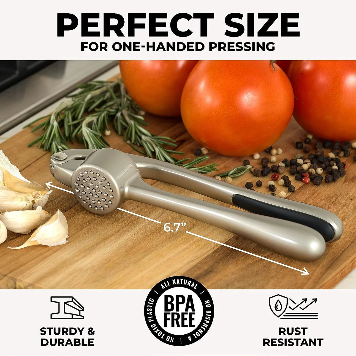Garlic Press 37-Hole Precision Chamber Ergonomic Rust-Resistant Metal