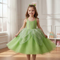 Girls Fairy Costume Set Layered Tulle Dress & Accessories