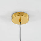 Glass Globe Pendant Lamp Dimmable Adjustable Cable