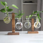 Glass Vase Retro Globe Natural Wood Stand