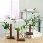 Glass Vase Retro Globe Natural Wood Stand