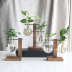 Glass Vase Retro Globe Natural Wood Stand