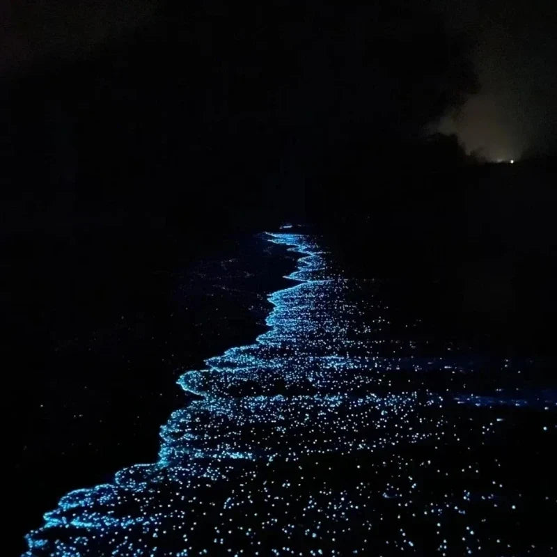 Glowing Pebbles Light-Activated Waterproof Reusable