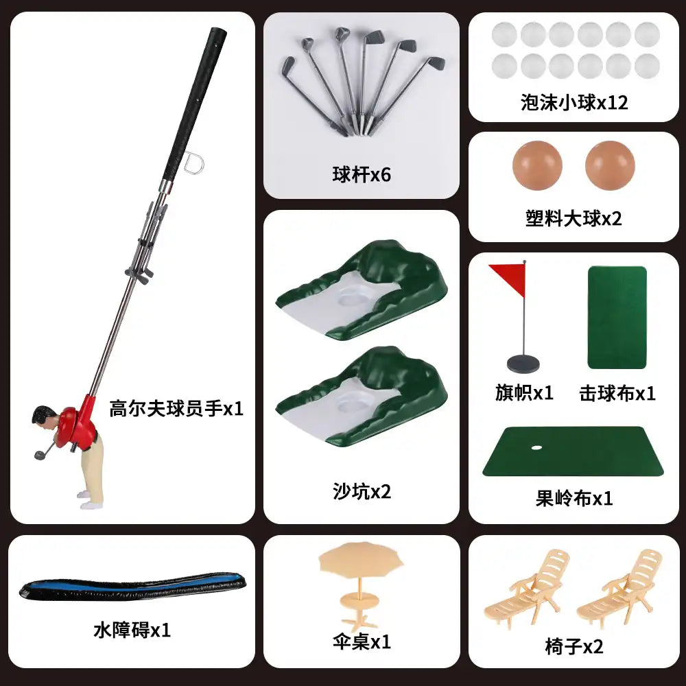 Golf Training Set Five Clubs Twelve Balls Putting Mat