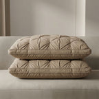 Goose Down Pillow 2-Pack Shape-Retaining Breathable Cotton