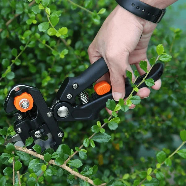 Grafting Tool 3 Interchangeable SK5 Blades Ergonomic Grip