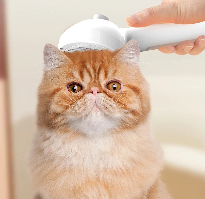 Grooming Comb Self-Cleaning & Misting USB Rechargeable