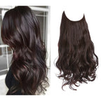 Hair Extensions 100% Human Hair Heat-Resistant Tangle-Free