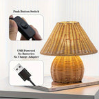 Handcrafted Natural Rattan & Bamboo Table Lamp
