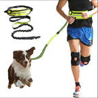 Hands-Free Dog Leash Adjustable Bungee Waist Strap Waterproof Pocket