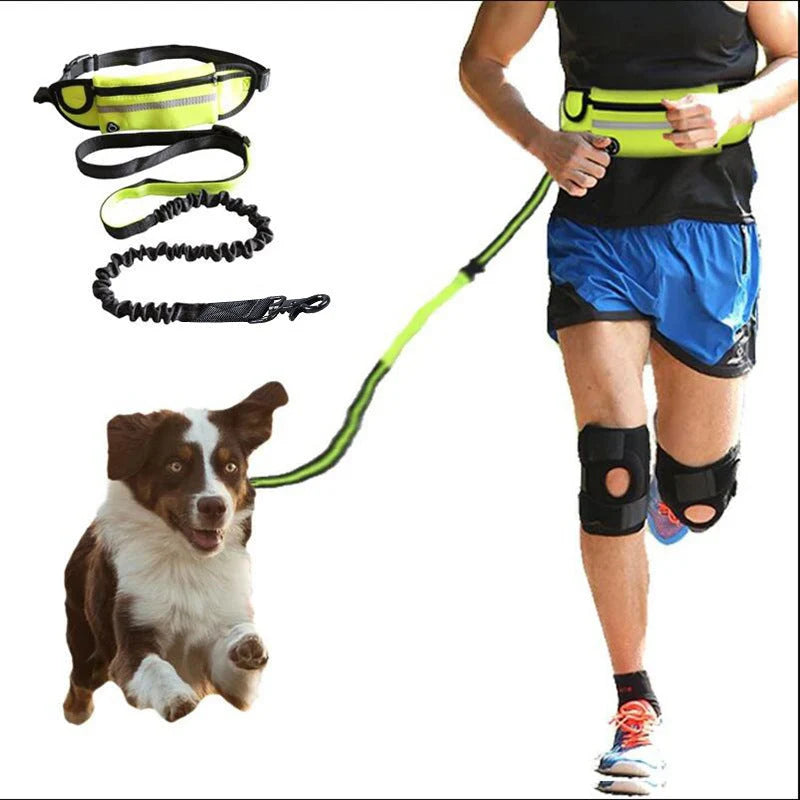 Hands-Free Dog Leash Adjustable Bungee Waist Strap Waterproof Pocket