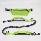 Hands-Free Dog Leash Elastic Shock-Absorbing Waist Belt Pouch Reflective