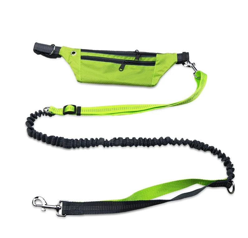 Hands-Free Dog Leash Elastic Shock-Absorbing Waist Belt Pouch Reflective