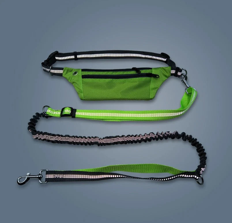 Hands-Free Dog Leash Elastic Shock-Absorbing Waist Belt Pouch Reflective