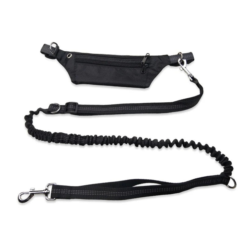 Hands-Free Dog Leash Elastic Shock-Absorbing Waist Belt Pouch Reflective
