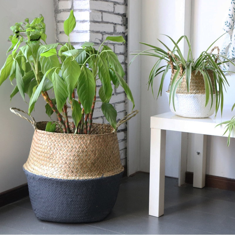 Handwoven Seagrass Storage Basket (Small: 22 cm)