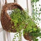 Hanging Basket Handmade Rattan Water-Resistant Lining Three Sizes