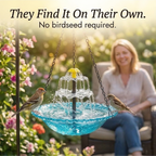 Hanging Bird Bath Solar-Powered 9.5 Inch Bowl