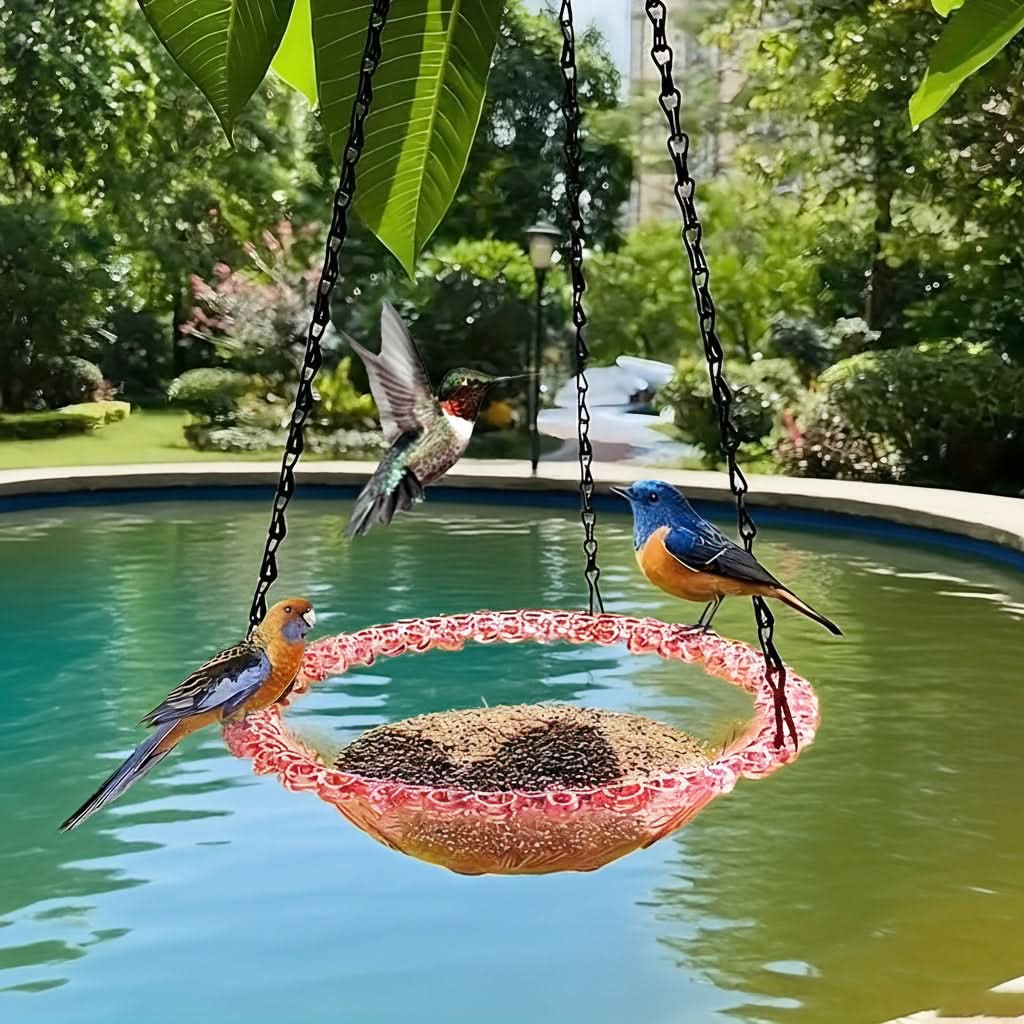 Hanging Bird Feeder Double-Bowl Weather-Resistant Chain Included