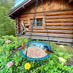 Hanging Bird Feeder Double-Bowl Weather-Resistant Chain Included