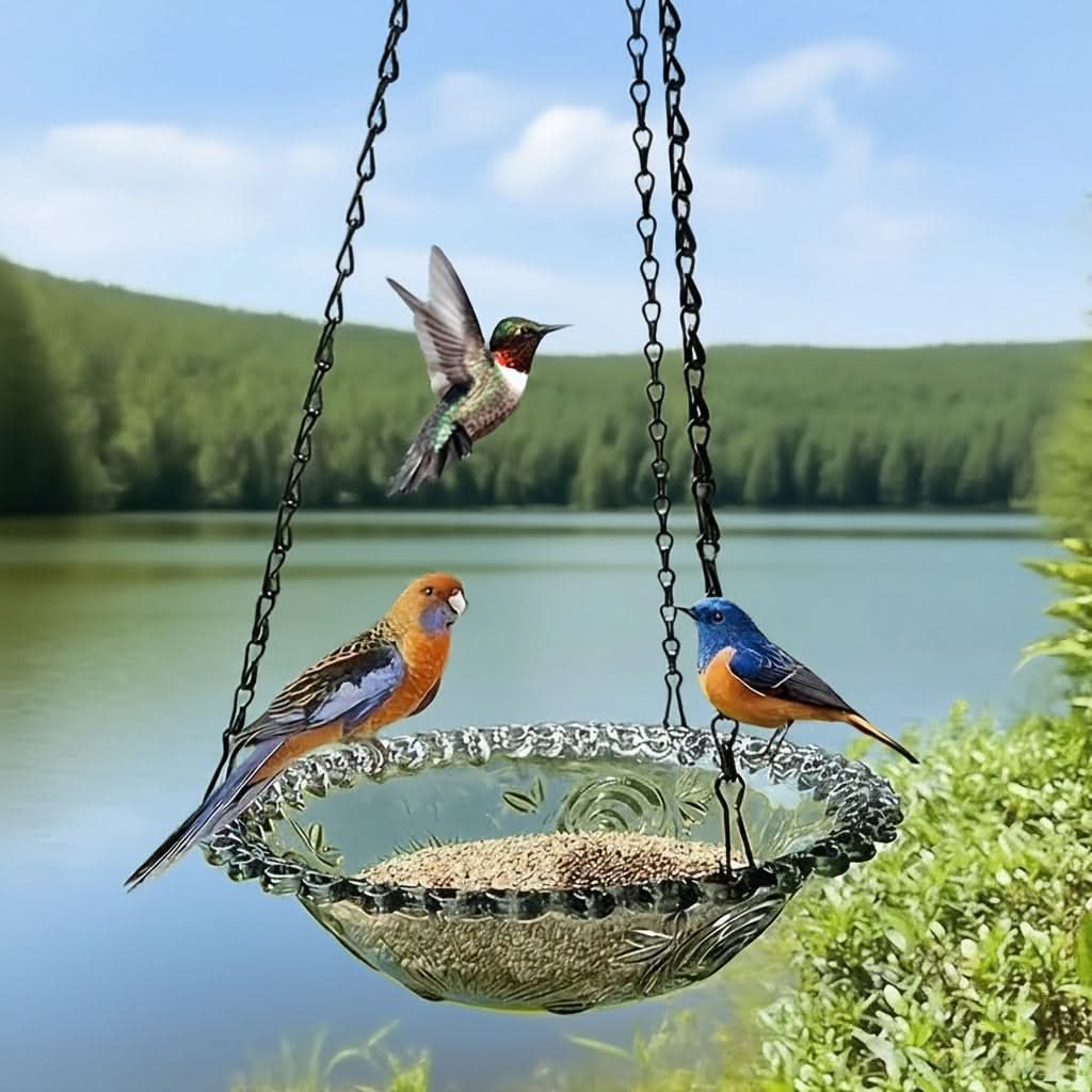Hanging Bird Feeder Double-Bowl Weather-Resistant Chain Included