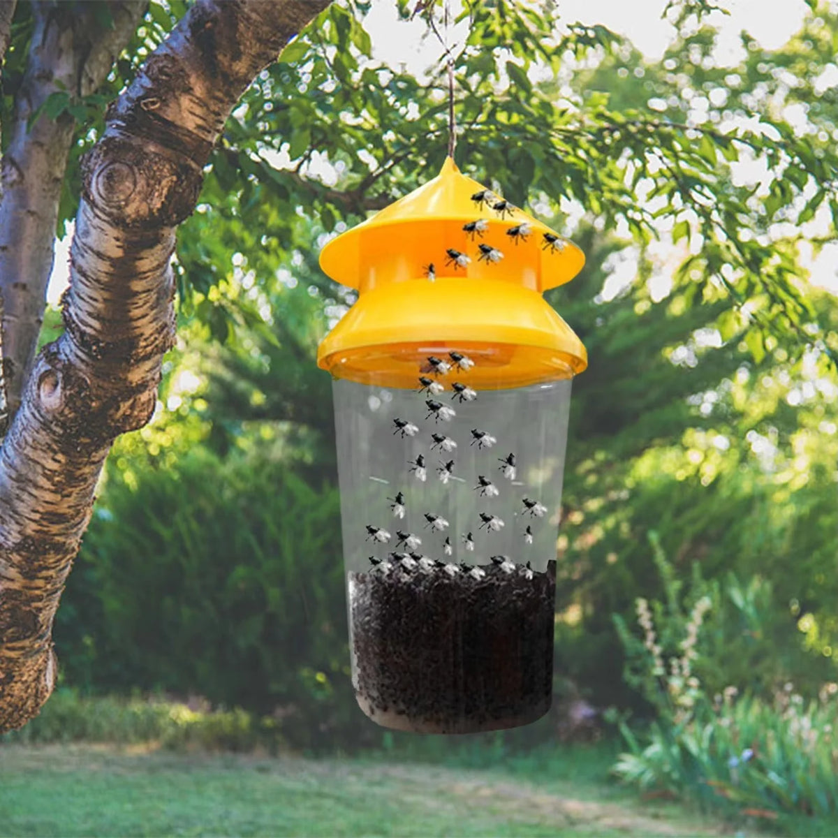 Hanging Fly Trap Reusable Lightweight & Durable