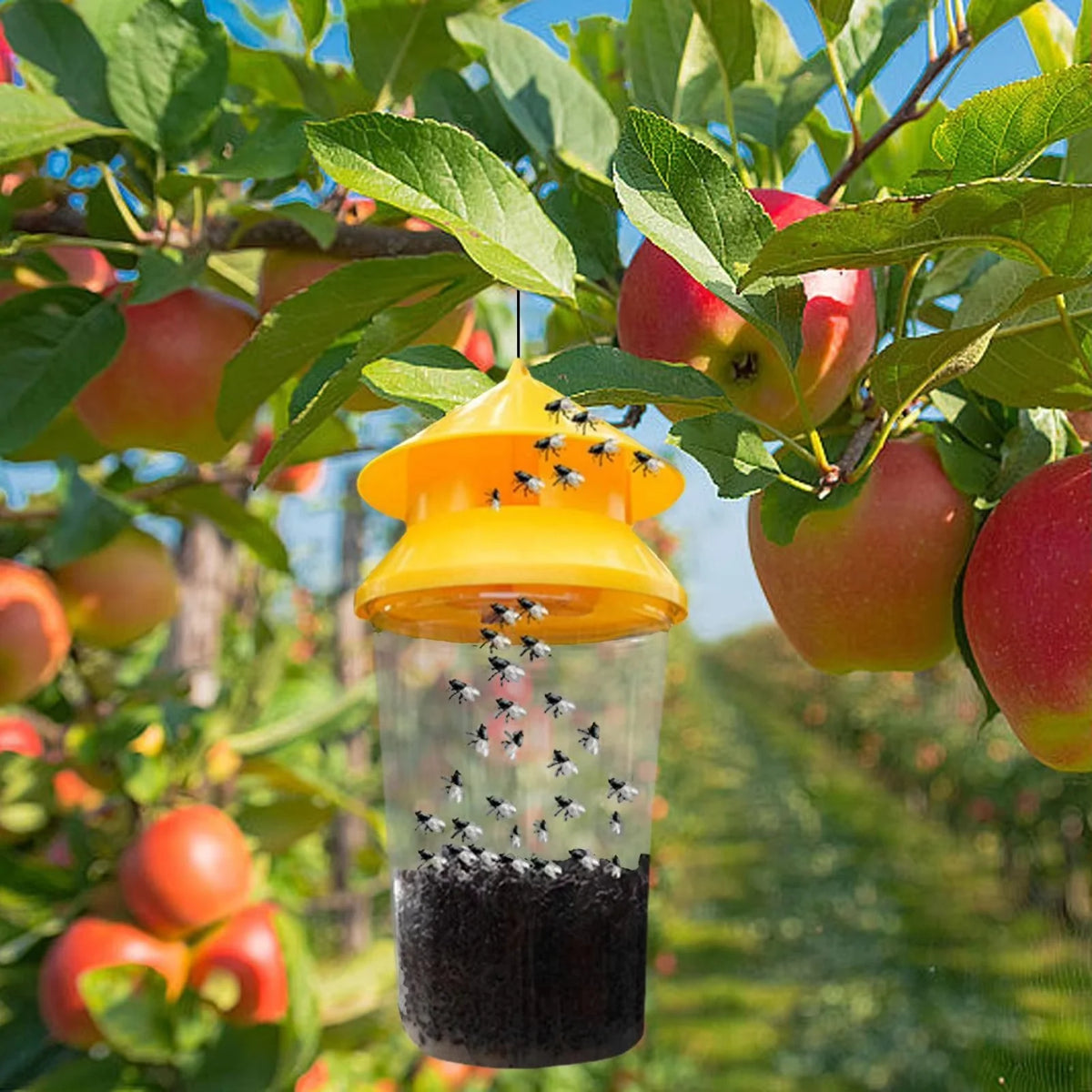 Hanging Fly Trap Reusable Lightweight & Durable