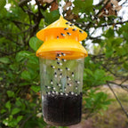 Hanging Fly Trap Reusable Lightweight & Durable