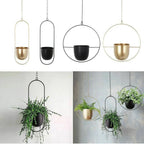 Hanging Plant Pot Floating Metal Ring & Anti-Rust Coating