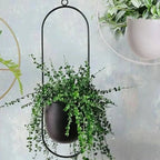Hanging Plant Pot Floating Metal Ring & Anti-Rust Coating