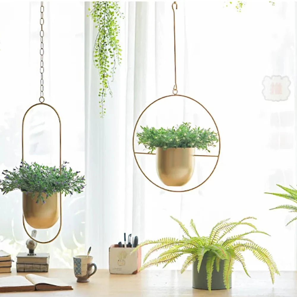Hanging Planter Halo Ring Anti-Rust Metal No Drain Holes