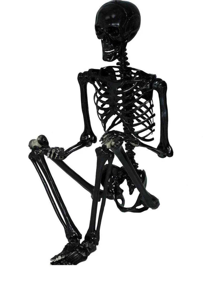Hanging Skeleton 90cm Ready To Hang