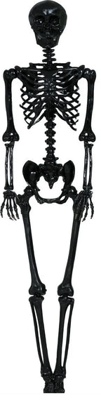 Hanging Skeleton 90cm Ready To Hang