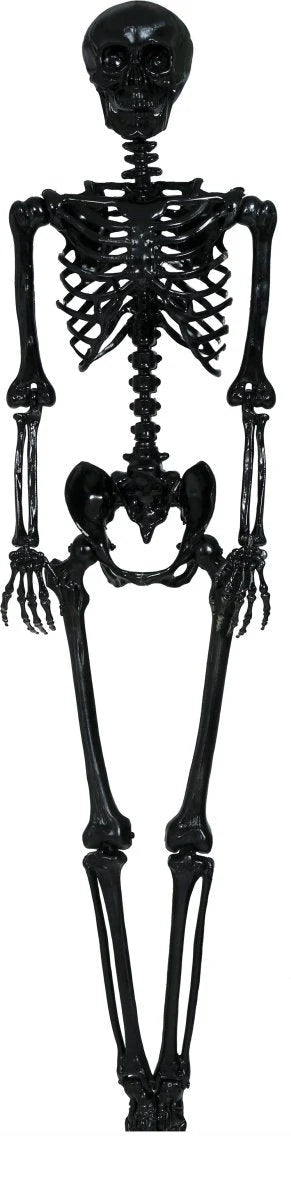 Hanging Skeleton 90cm Ready To Hang